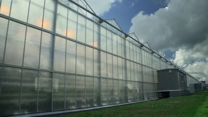 温室外部Spbd。大型室外温室农业水培生产。运动镜头
