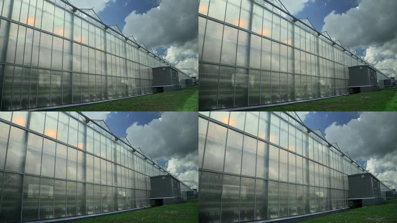 温室外部Spbd。大型室外温室农业水培生产。运动镜头
