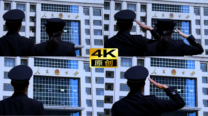 4k警察对着人民公安敬礼升格