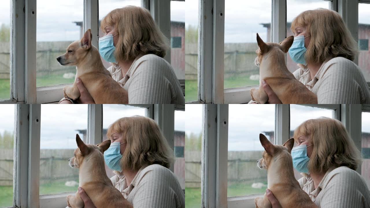 戴着医用面具的女人和狗在检疫看起来无可救药地走出窗外