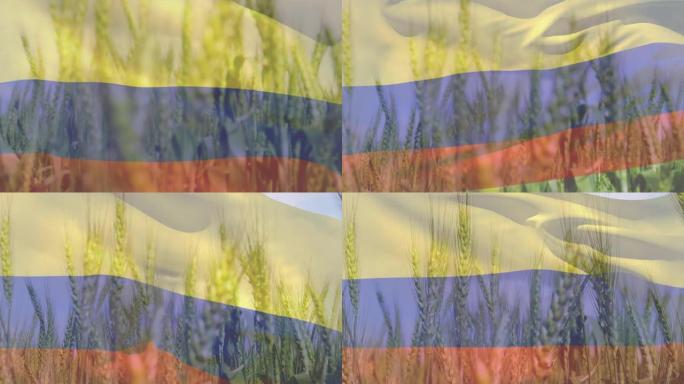 数字构图挥舞哥伦比亚旗帜反对农作物在农田的特写