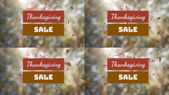 感恩节销售文字横幅在多个秋天的枫树上落叶在高大的树木上