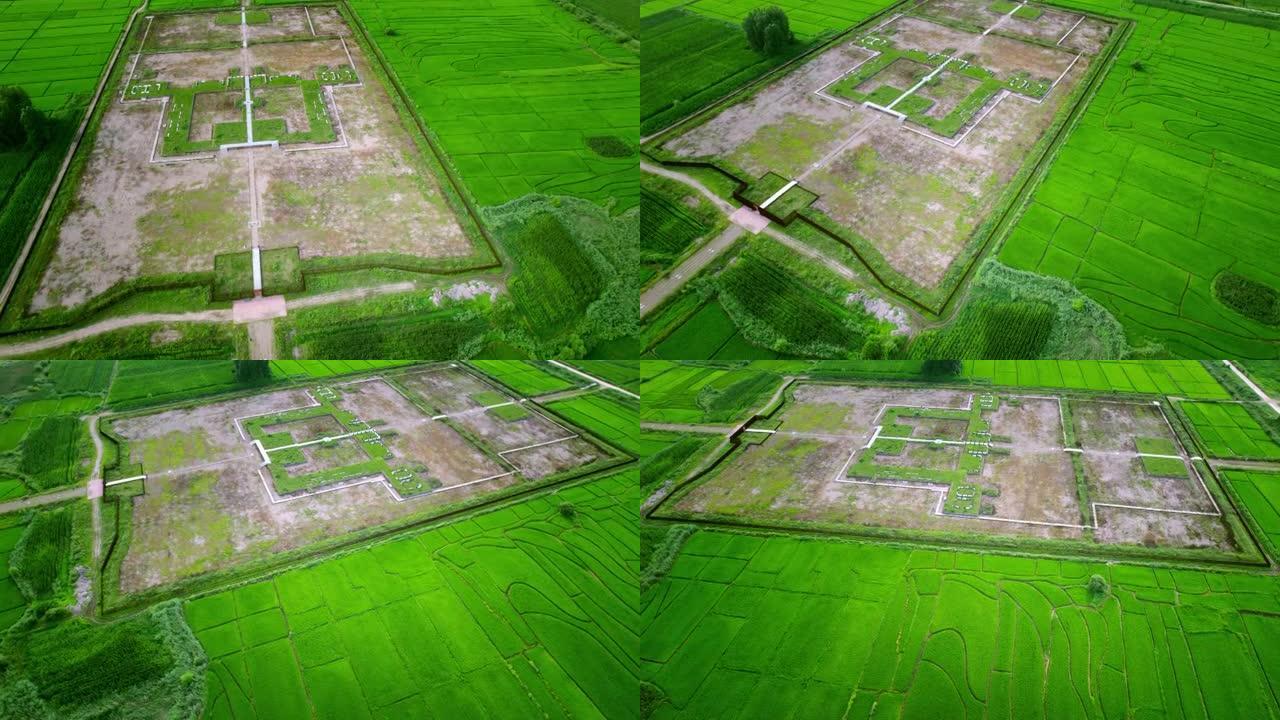 鸟瞰图的农业领域4k俯拍绿色粮食生机勃勃