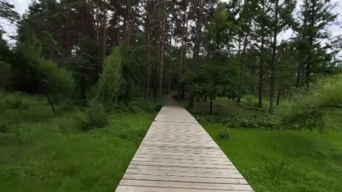 在森林的小径上行走