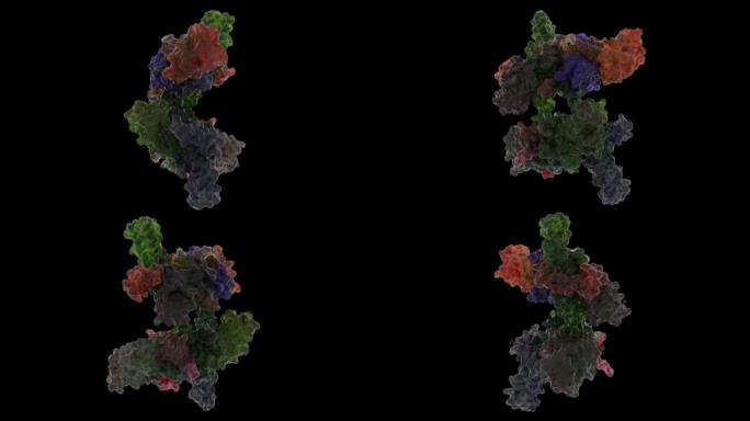 非结构蛋白传染性非典型肺炎-CoV超级复合物晶体结构的2ahm壳