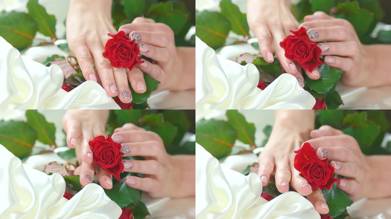 红玫瑰和修剪整齐的手的芽。