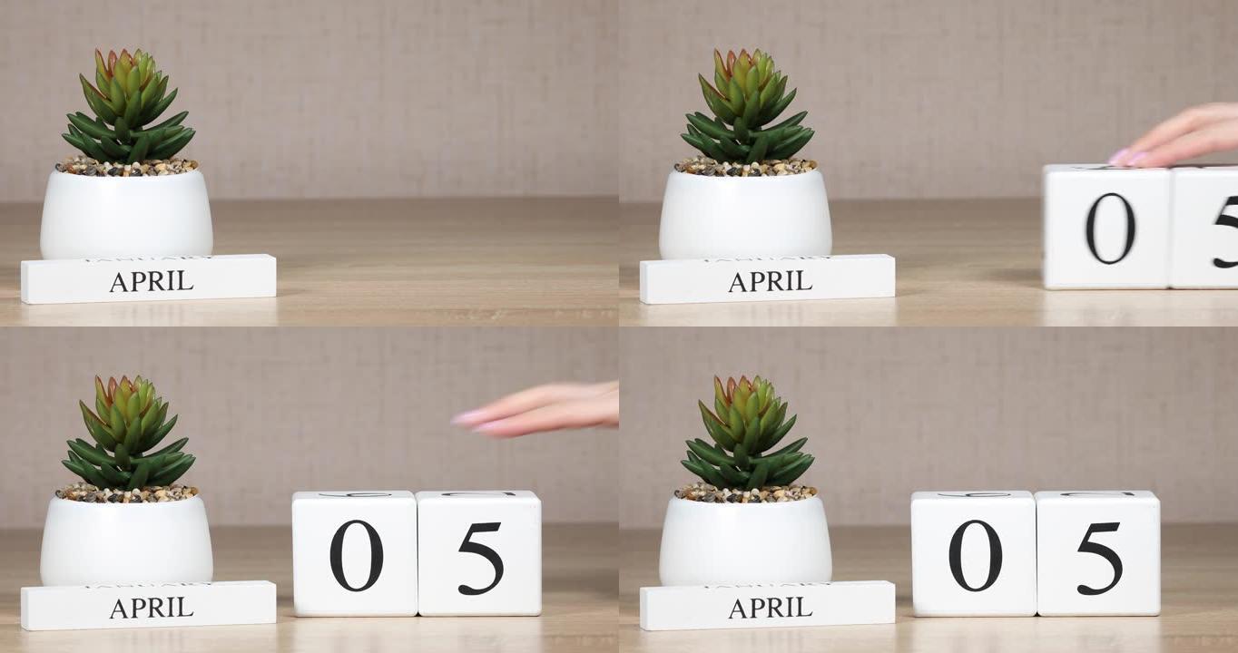 木制日历对4月5日来说是一个重要的事件，女人的手在日历上设置日期。春季。