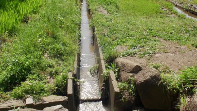 灌溉水通过混凝土沟流经绿色稻田