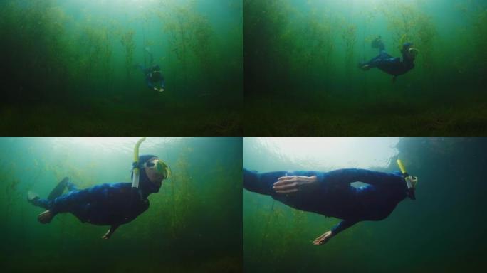 湖自由潜水。女人在Turgoyak的淡水湖水下游泳，穿过绿色的杂草