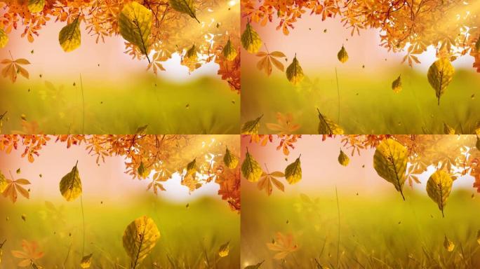 秋天景色落叶的动画