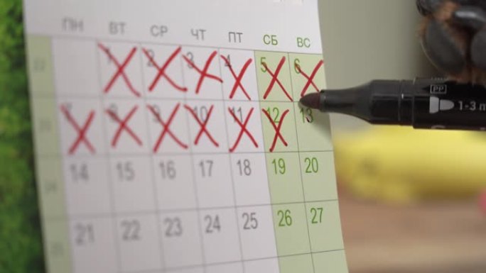 黑色尖毡笔在狗爪划掉日期的星期日在日历的月与划掉日期的几个星期的特写