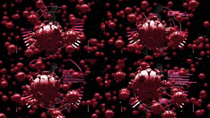 冠状病毒细胞在数据处理上的动画