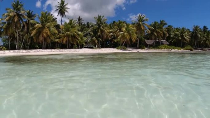 游泳到加勒比海的空旷海滩