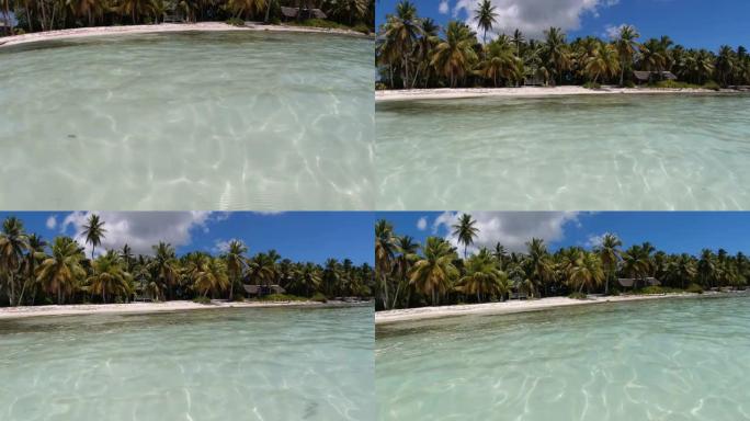 游泳到加勒比海的空旷海滩