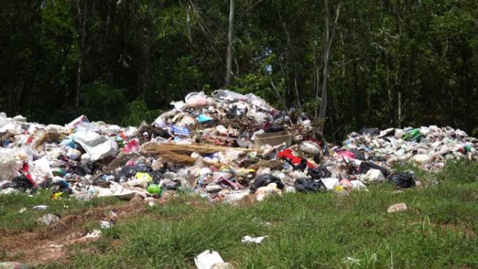 自然界中的垃圾场厨余不可回收