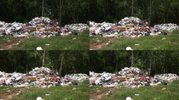 自然界中的垃圾场厨余不可回收