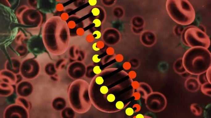 dna结构在多个新型冠状病毒肺炎细胞和血管上旋转的数字动画