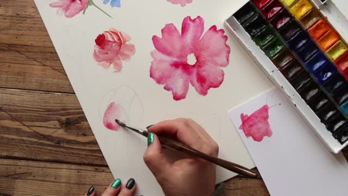 画粉红色的花与水彩画特写