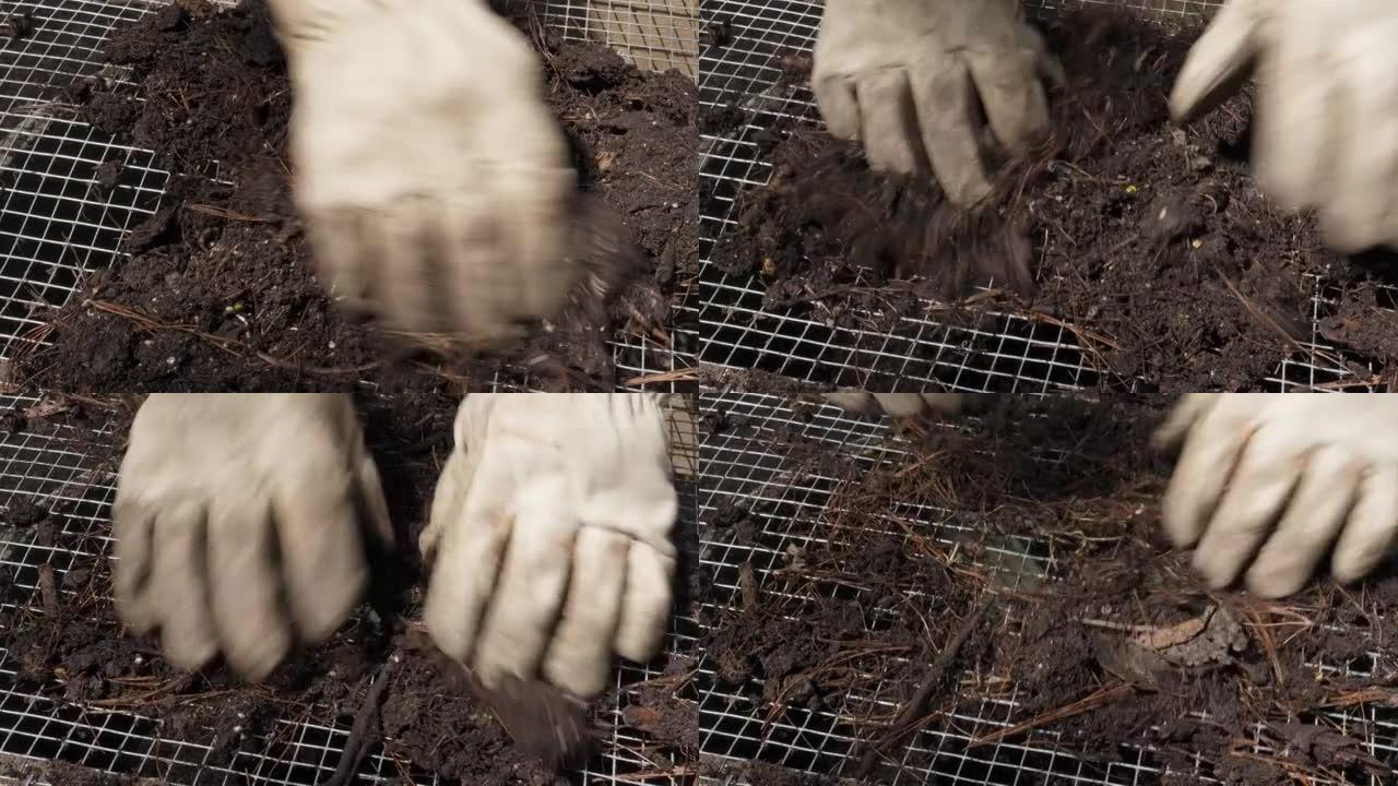 园丁使用筛网筛分土壤中的岩石和有机物