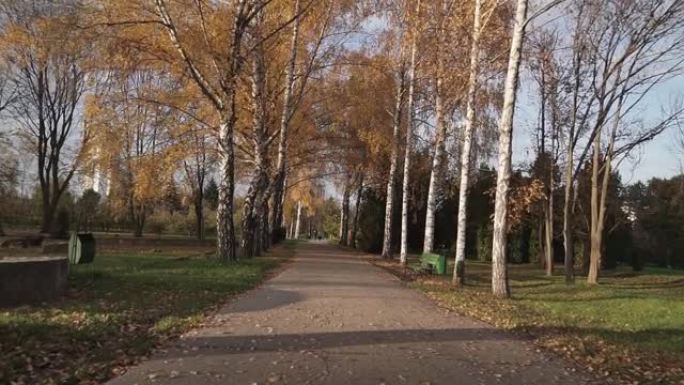 在阳光明媚的日子里，摄像机穿过空荡荡的秋季城市公园。长巷覆盖着明亮的秋叶。美丽的秋天风景，背景是阳光