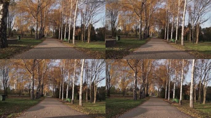 在阳光明媚的日子里，摄像机穿过空荡荡的秋季城市公园。长巷覆盖着明亮的秋叶。美丽的秋天风景，背景是阳光
