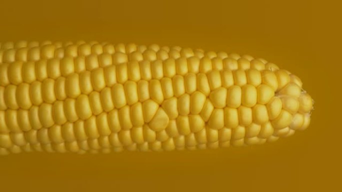 生玉米玉米芯-玉米特写