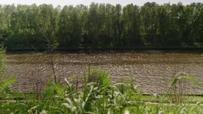 莫斯科郊外的狭窄河流。从被草覆盖的海岸看。对岸的森林树木