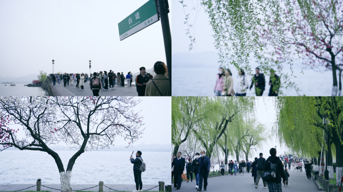 春天西湖白堤步道风景4k视频素材