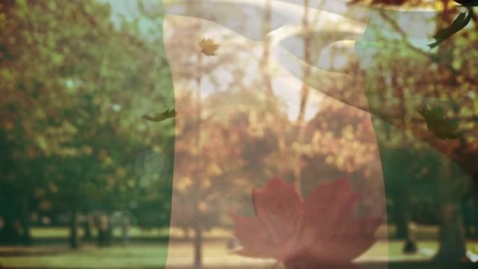 数字构图尼日利亚挥舞的旗帜在秋天落叶飘落对公园