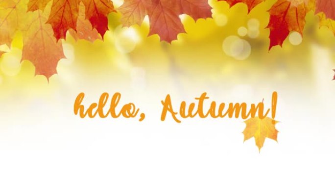 动画文字Hello Autumn在黄橙叶和波克的背景