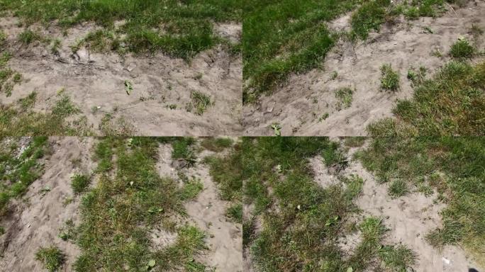 地球在脚下旋转，就像失去知觉时一样