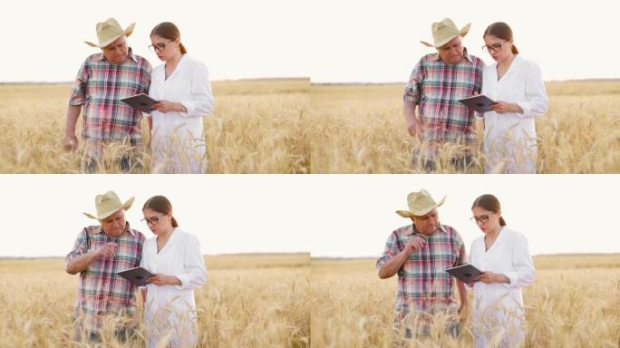老农民和年轻的白大衣女专家讨论平板小麦生长的结果