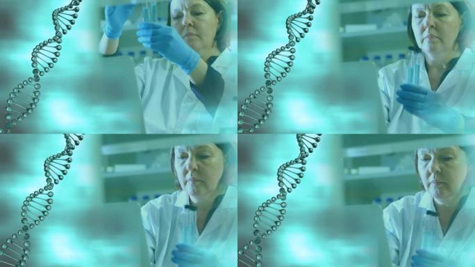 实验室中女性科学家的dna链旋转的动画