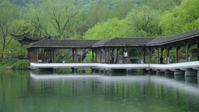 春天杭州乌龟潭阴雨天古建筑植物绿色自然