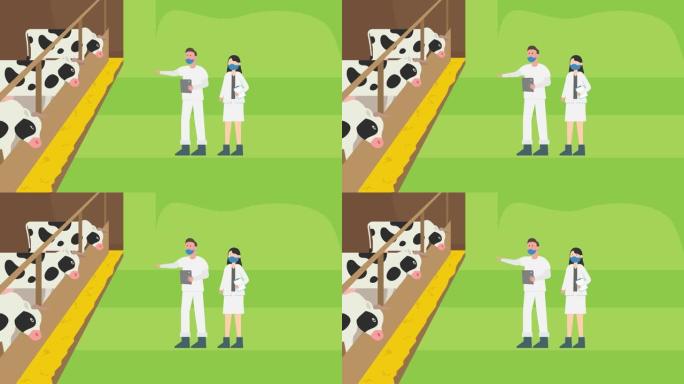 两名兽医检查农场里的牛