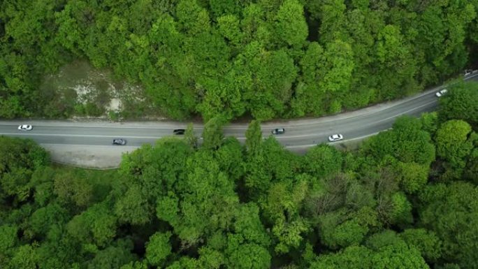 有车的森林道路的俯视图。两边长满树林的绿树。汽车沿着高速公路行驶。