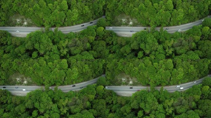 有车的森林道路的俯视图。两边长满树林的绿树。汽车沿着高速公路行驶。