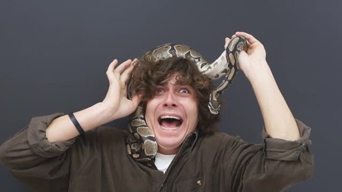 一个人害怕一条蛇在他的头上爬行，一个困惑的年轻人因恐惧而感到恐慌，他患有蛇恐惧症