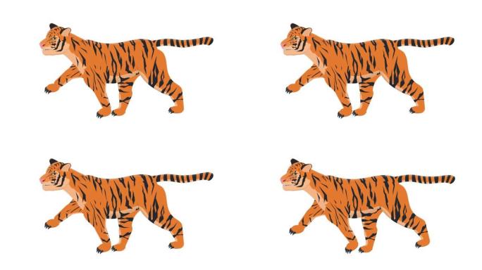 老虎。动物老虎的动画。卡通