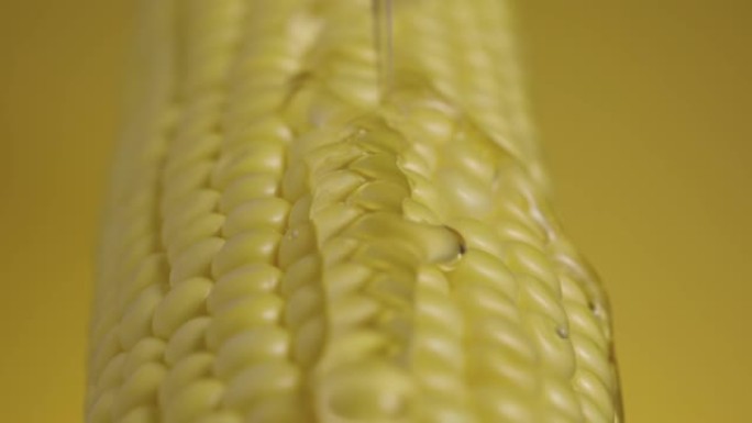 细流的粘稠蜂蜜或油流到成熟的黄色玉米颗粒上。甜美的花蜜包裹着新鲜玉米的金色棒子。玉米种子质地。特写。