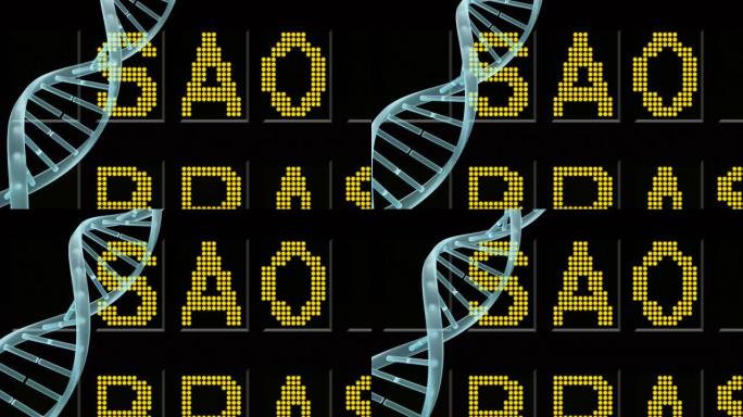 针对机场信息板旋转的dna结构数字动画