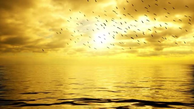 在美丽的金色日落前，迁徙的鸟类在海洋上飞翔的剪影