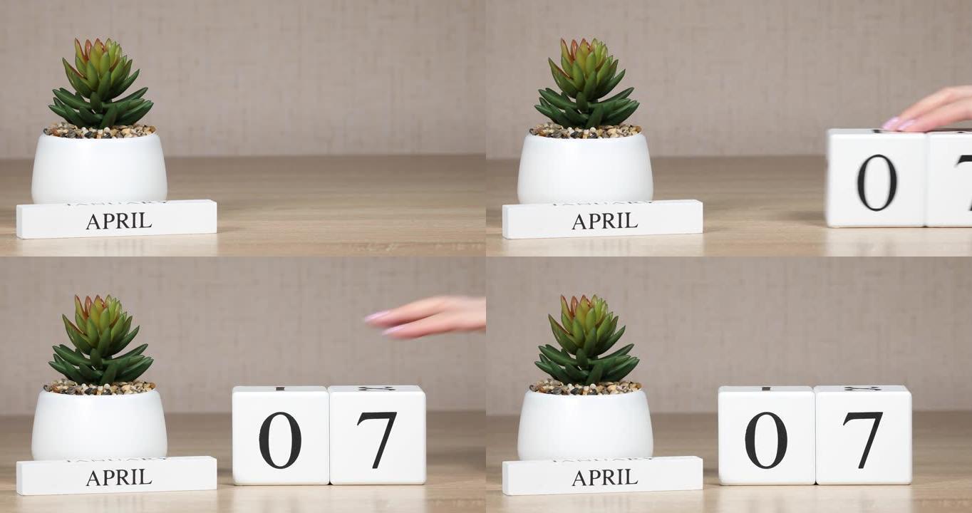 木制日历对4月7日来说是一个重要的事件，女人的手在日历上设置日期。春季。