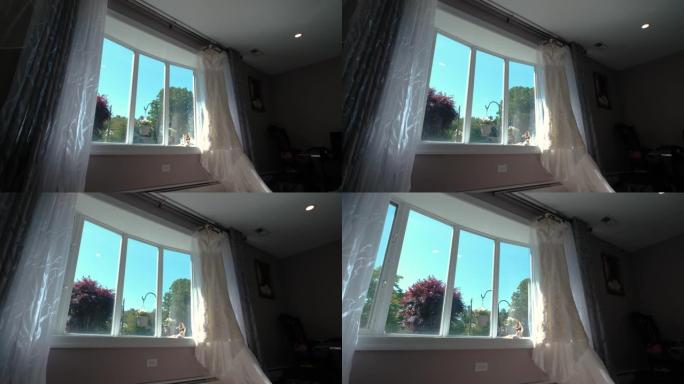 橱窗里的婚纱，移动相机。宽镜头