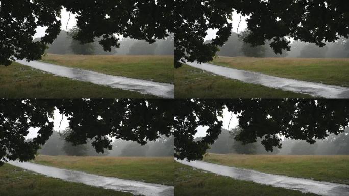 伦敦格林威治公园的雨