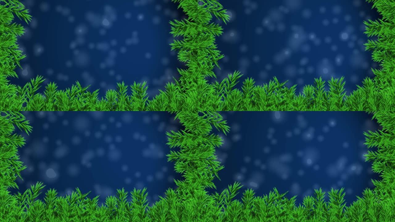 飘落的雪上的圣诞树树枝的动画