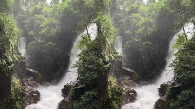 强大的垂直瀑布竖屏流水山泉水唯美风景