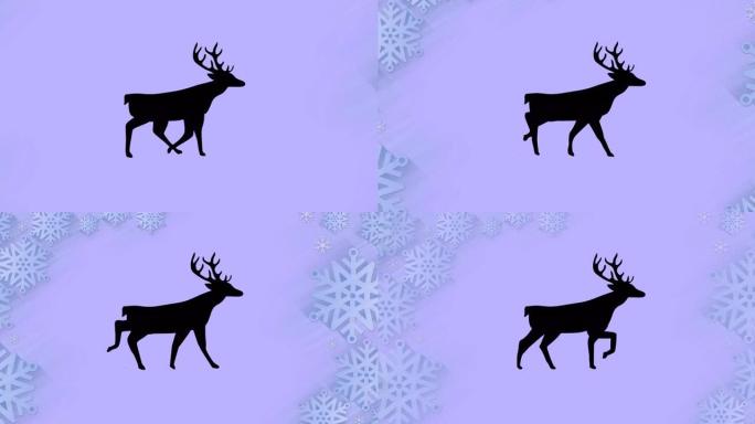 驯鹿在雪花上行走的黑色剪影在紫色背景下形成框架