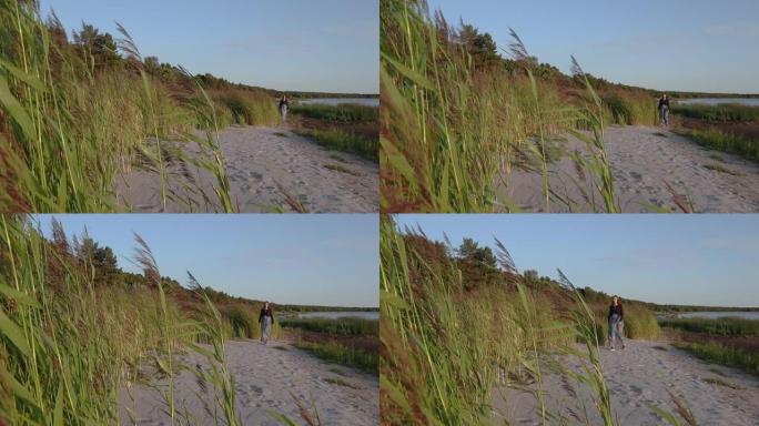 孤独的黑发女人走在芦苇旁边的孤立沙滩上