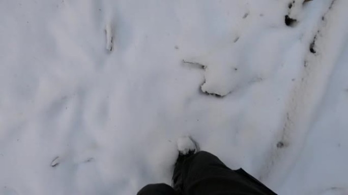 冬季，男子登山者带着雪足迹在森林上行走。日本